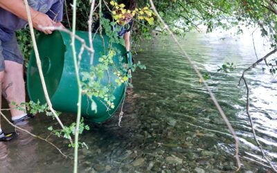 Compte rendu du conseil d&rsquo;administration du 26 septembre 2025