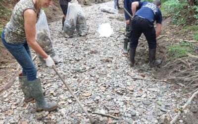 Assemblée Générale 2026