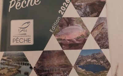 OFB Rapport d&rsquo;expertise relatif à l&rsquo;état des connaissances des populations de silure