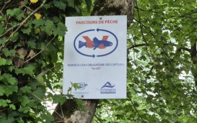 Nettoyage Accès Parcours No Kill