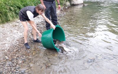 Fête de la pêche . Journée moins de quinze ans