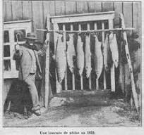 SAUMON : Démarches de la fédération auprès du COGEPOMI du 02 Octobre